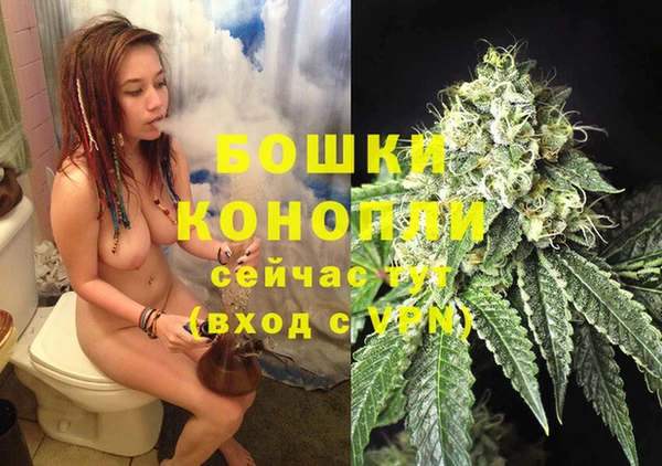стаф Беломорск