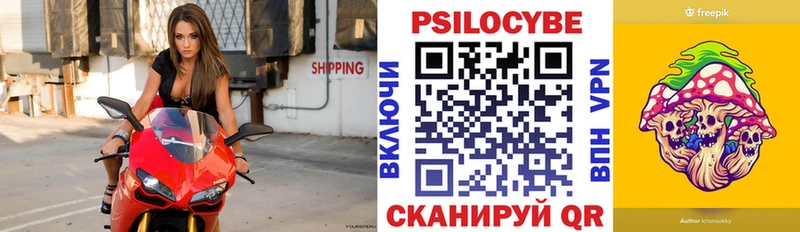 Галлюциногенные грибы Psilocybine cubensis  Волгореченск 