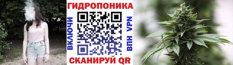 продажа наркотиков Волгореченск МЕГА как войти Шишки марихуана LSD WEED